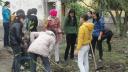 DSC02537 (600 x 338) - 