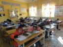 DSC05438 (500 x 375) - 